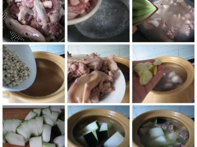 秋冬季进补冬瓜薏米老鸭汤的做法和步骤(图1)