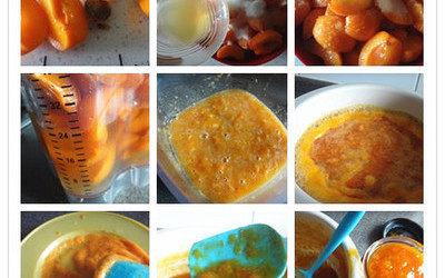 杏子果酱的做法和步骤第4张图