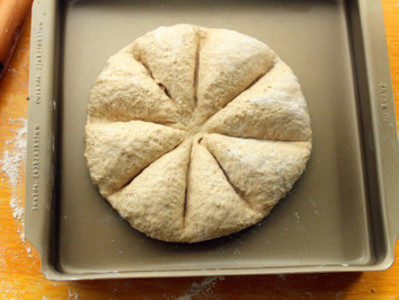 烘焙课堂:玛格丽特花朵面包的做法和步骤(图28)