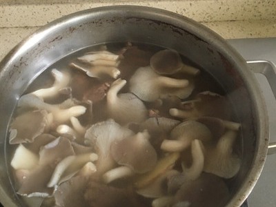 鸡菇牛肉汤